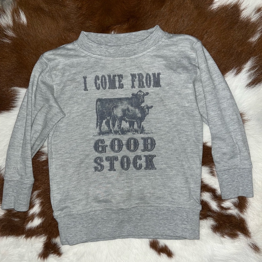 Toddler boy 3T western sweatshirt